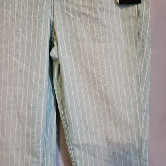 Women's Guess 1981 Skinny High Rise Vintage Aqua Striped Jeans Size 26*29, NWT - Picture 6 of 9